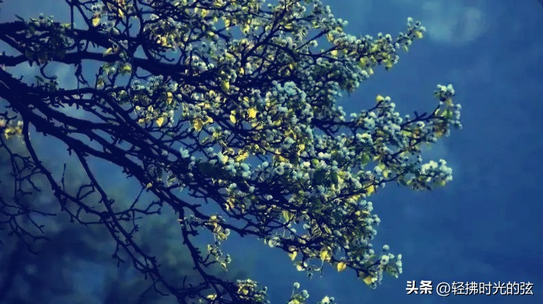 关于明月的诗唐诗宋词,最美明月唐诗宋词