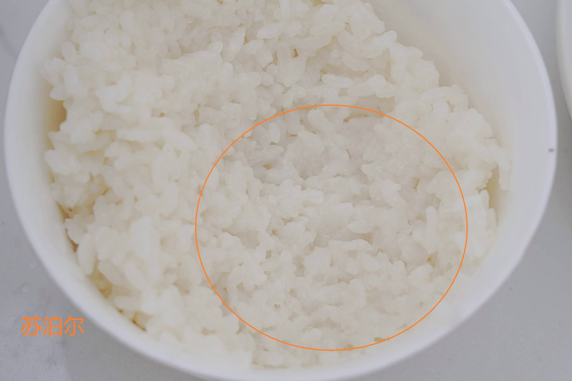 家用电压力锅怎么选,小家庭电压力锅推荐