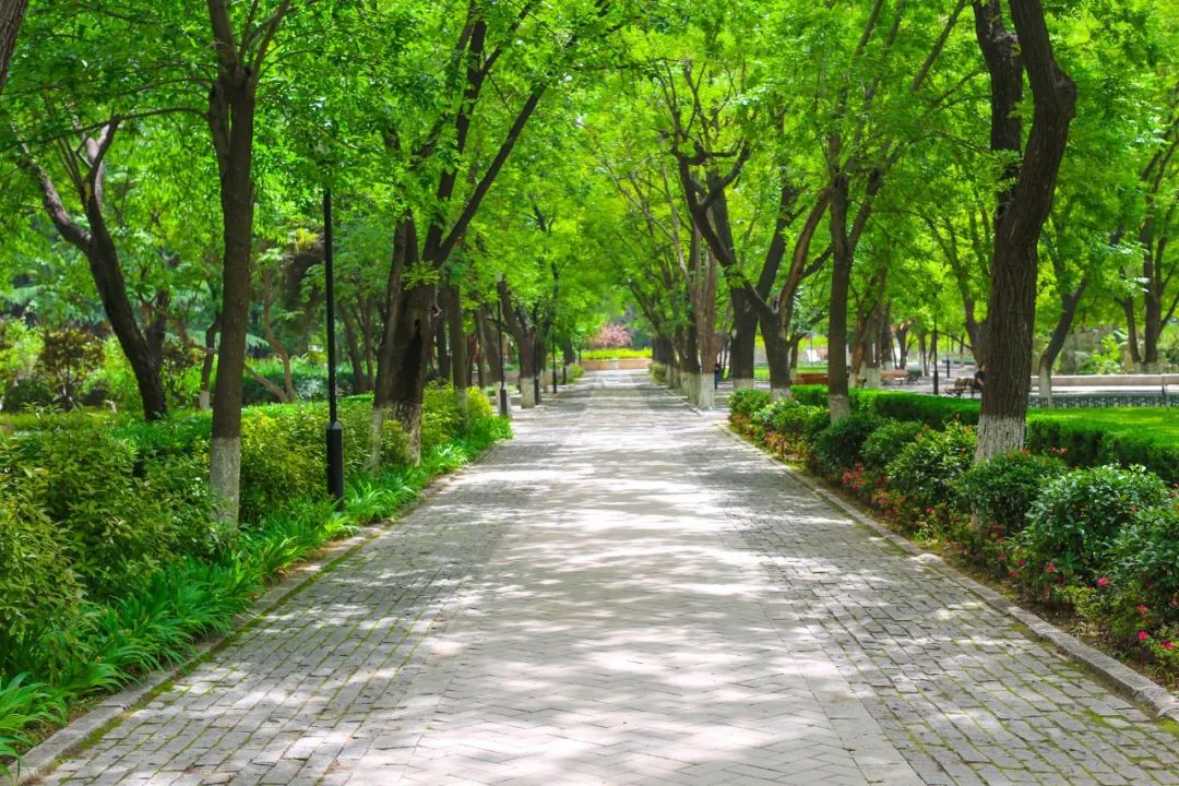 100首最美夏天诗句,10首最美春风诗词