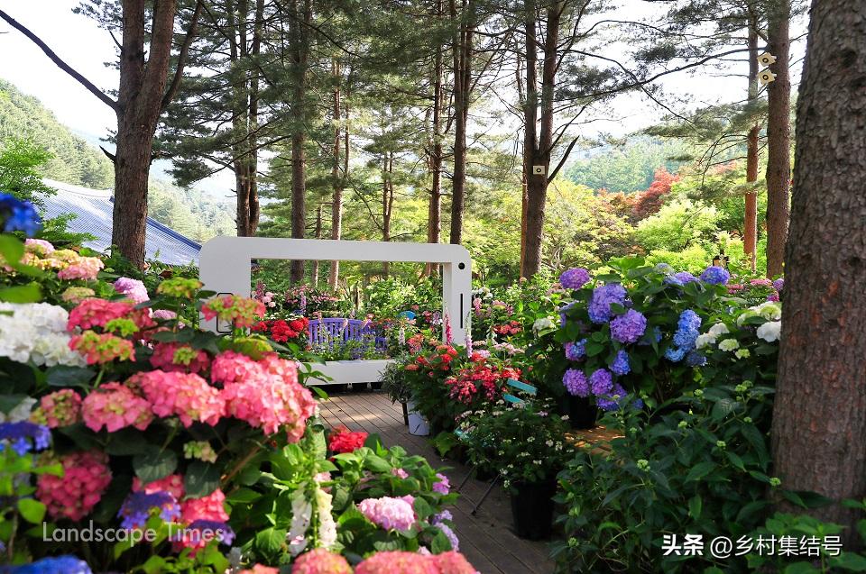 韩国晨静花园,韩国晨静树木园设计方案