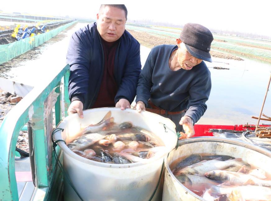 高淳古柏朱晓斌:创业能人带领社员走出一条致富路