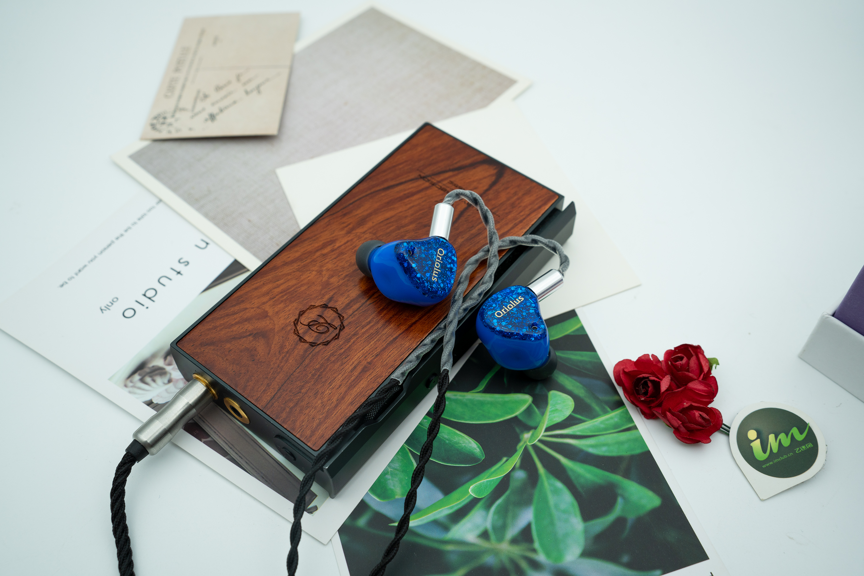 褐鹂和黑黄鹂耳机对比,褐鹂和黑鹂耳机对比