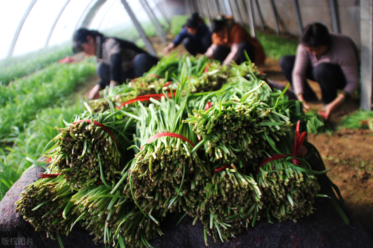 非知之难行之惟难什么意思,非知之难行之惟难的意思是什么