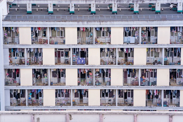 账号精准定位发展方向,中药材种植公司发展方向定位