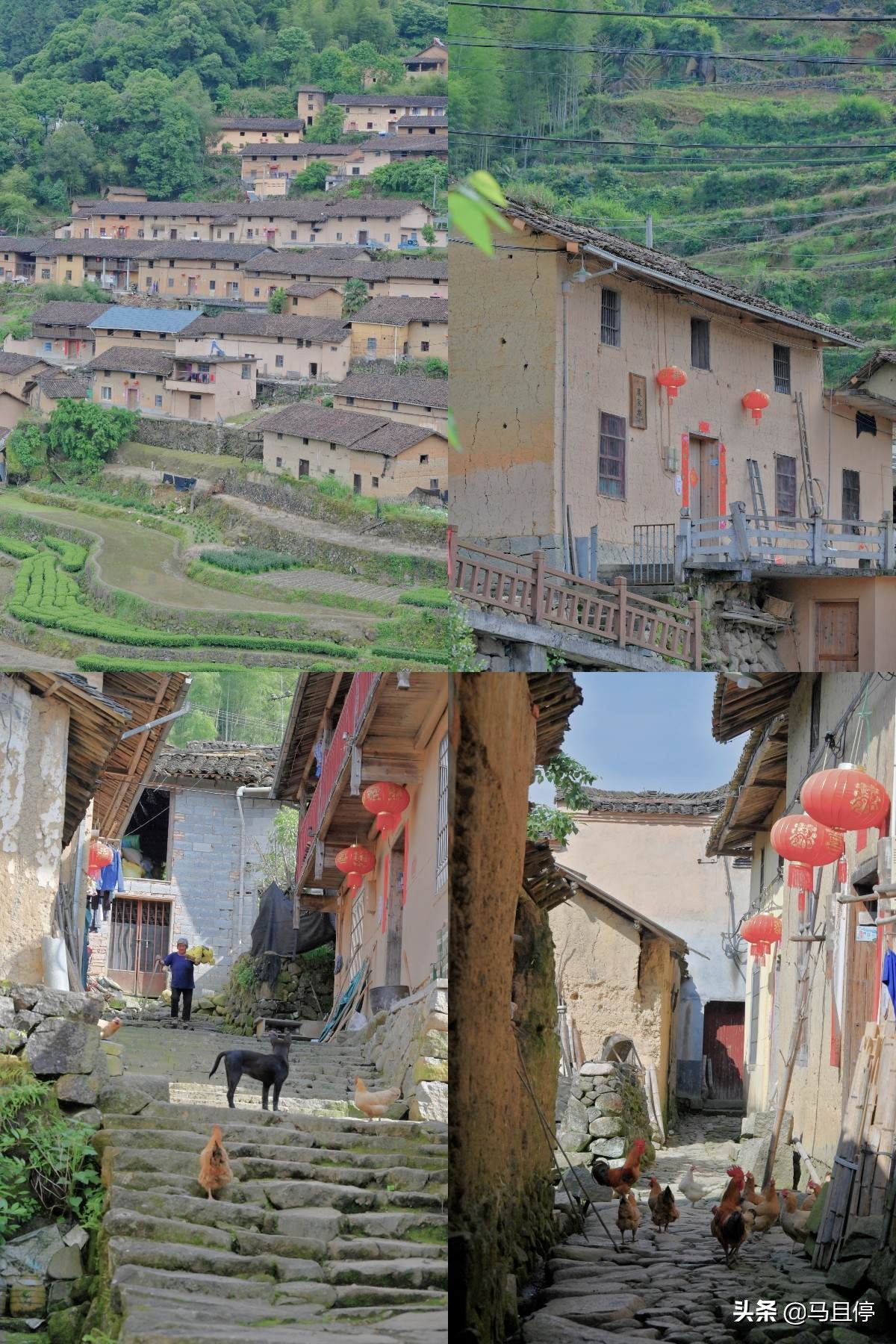 浙江丽水遂昌四天三夜,三天两夜浙江丽水旅游攻略