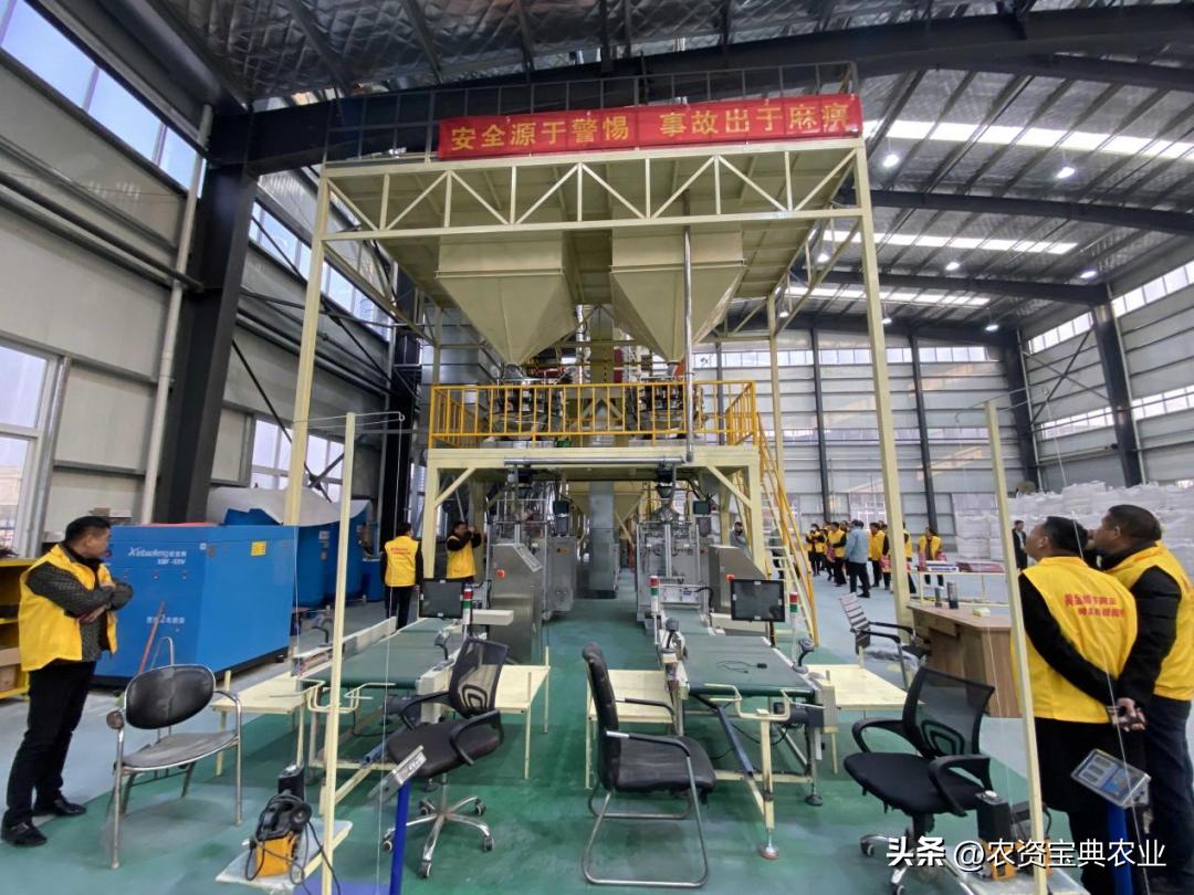 黄金棒yd819产量,黄金棒819玉米种介绍