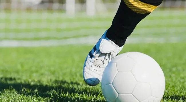 校园足球五育并举方案,五育融合校园活动