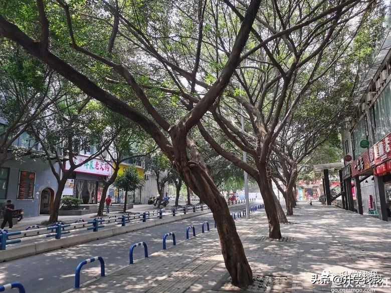 陪读房三室两厅一卫租金1300,潍坊一中附近陪读租房租金多少