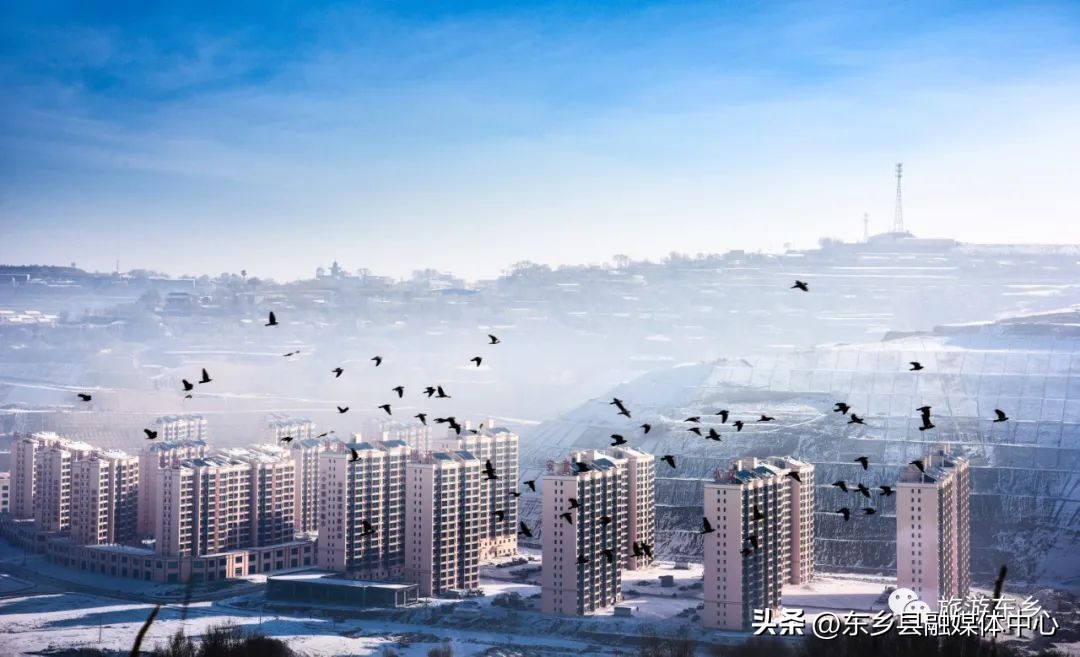 关于春天的诗词和优美句子,最美有关春天的诗词