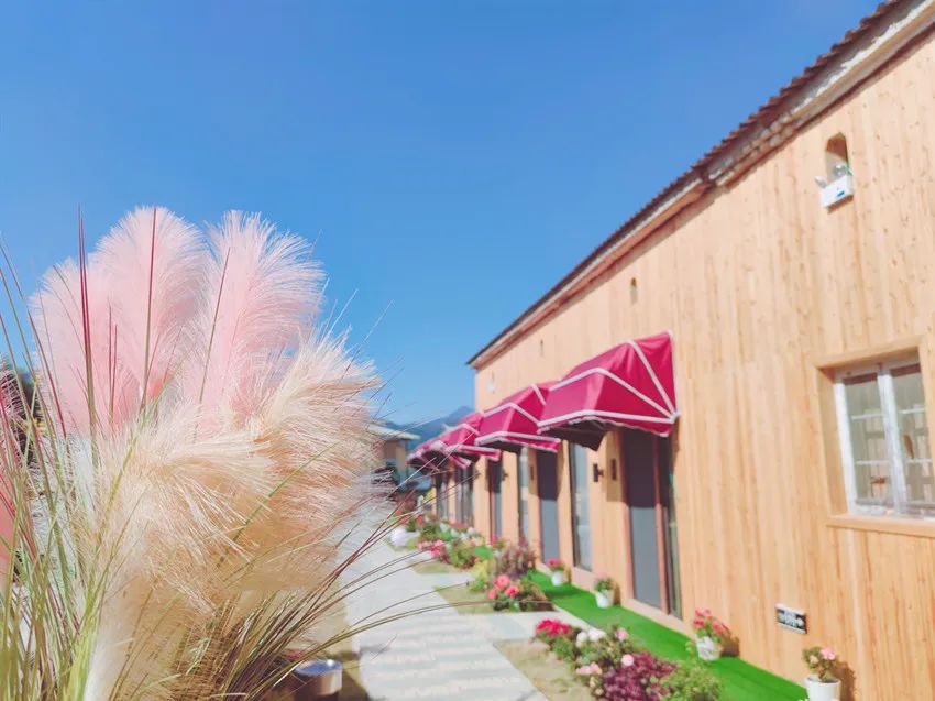 黄山五一推荐民宿,五一黄山民宿推荐