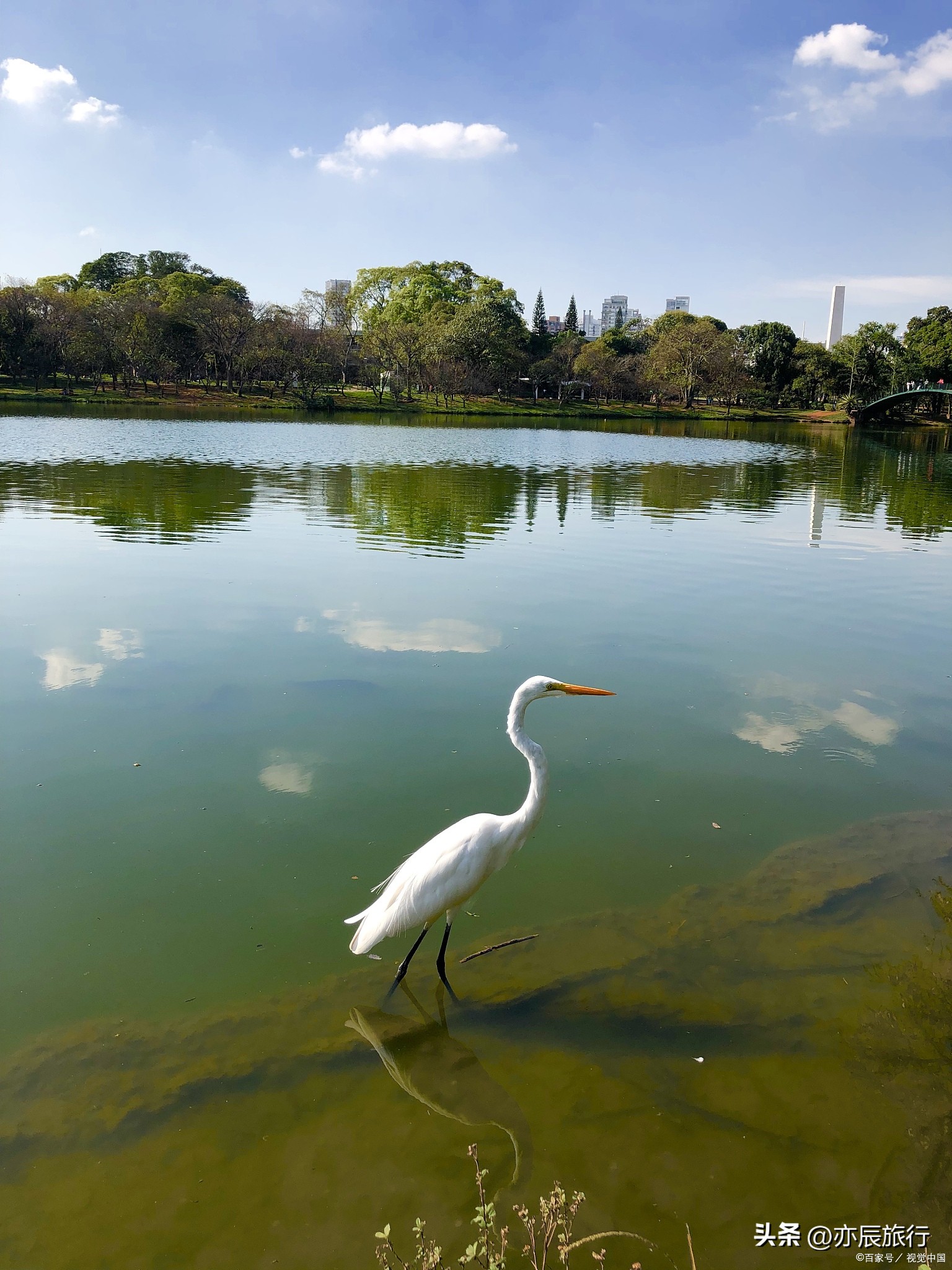 佛山秋天禅城必游景点,佛山11月游玩攻略自由行