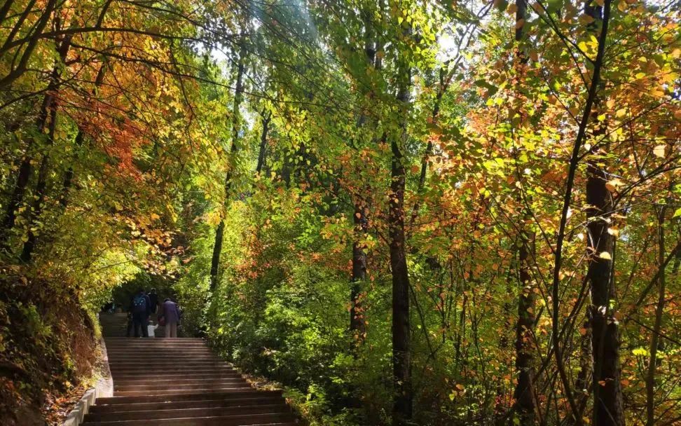 蓬勃古邑品质榆中