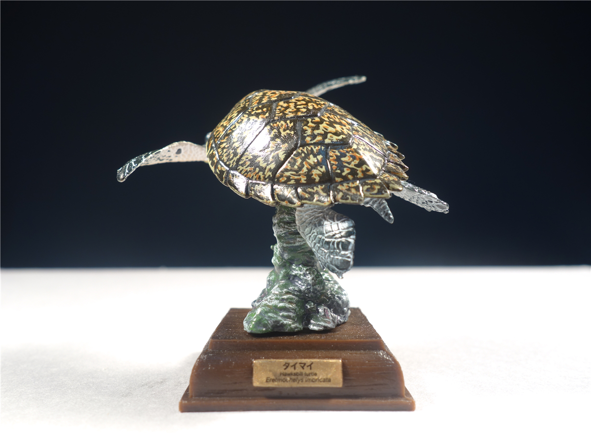 奇谭扭蛋龟,奇谭俱乐部底座