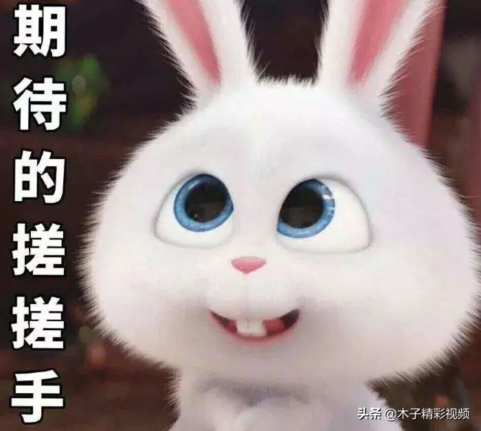 苏仙岭门口的苏仙福地广场将提质改造！邀您提出“金点子”