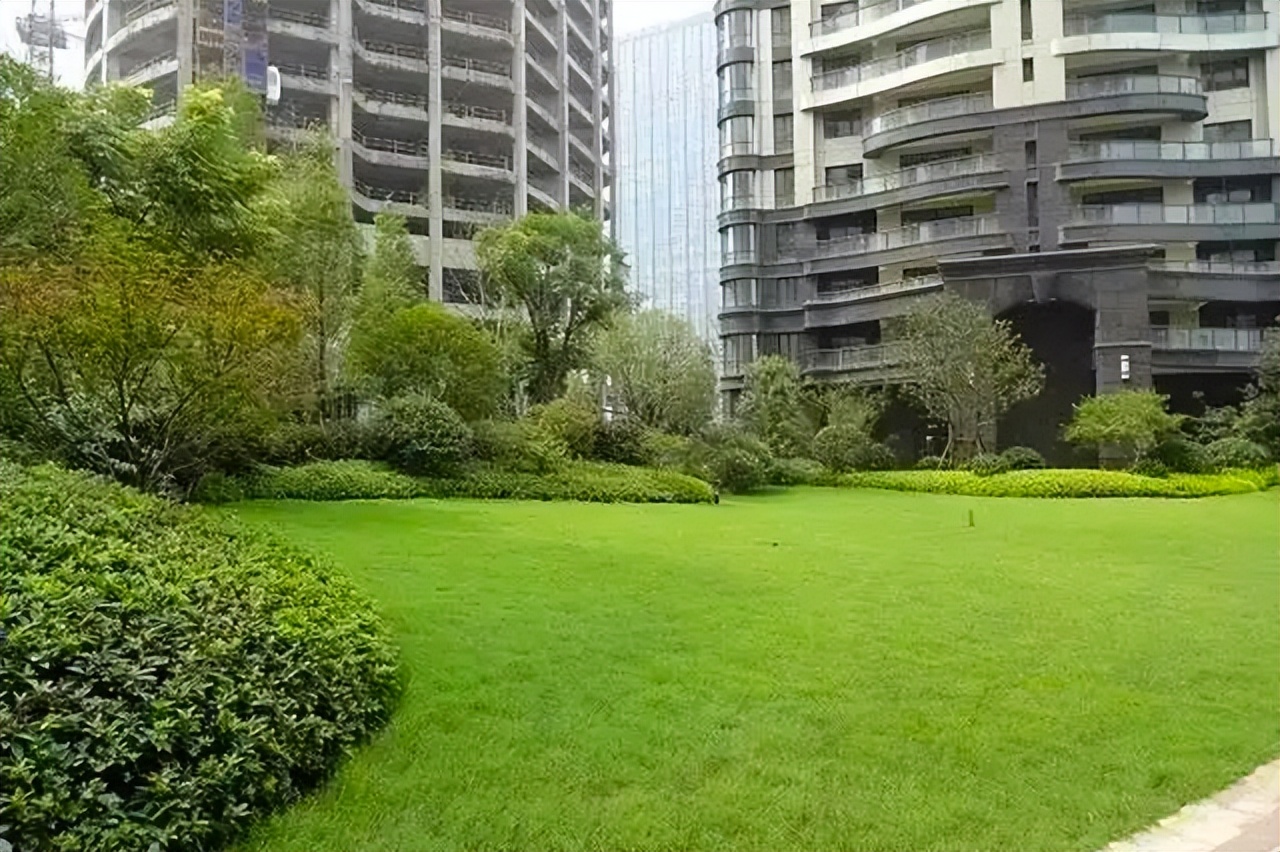 考你个问题，草坪可以踩吗？