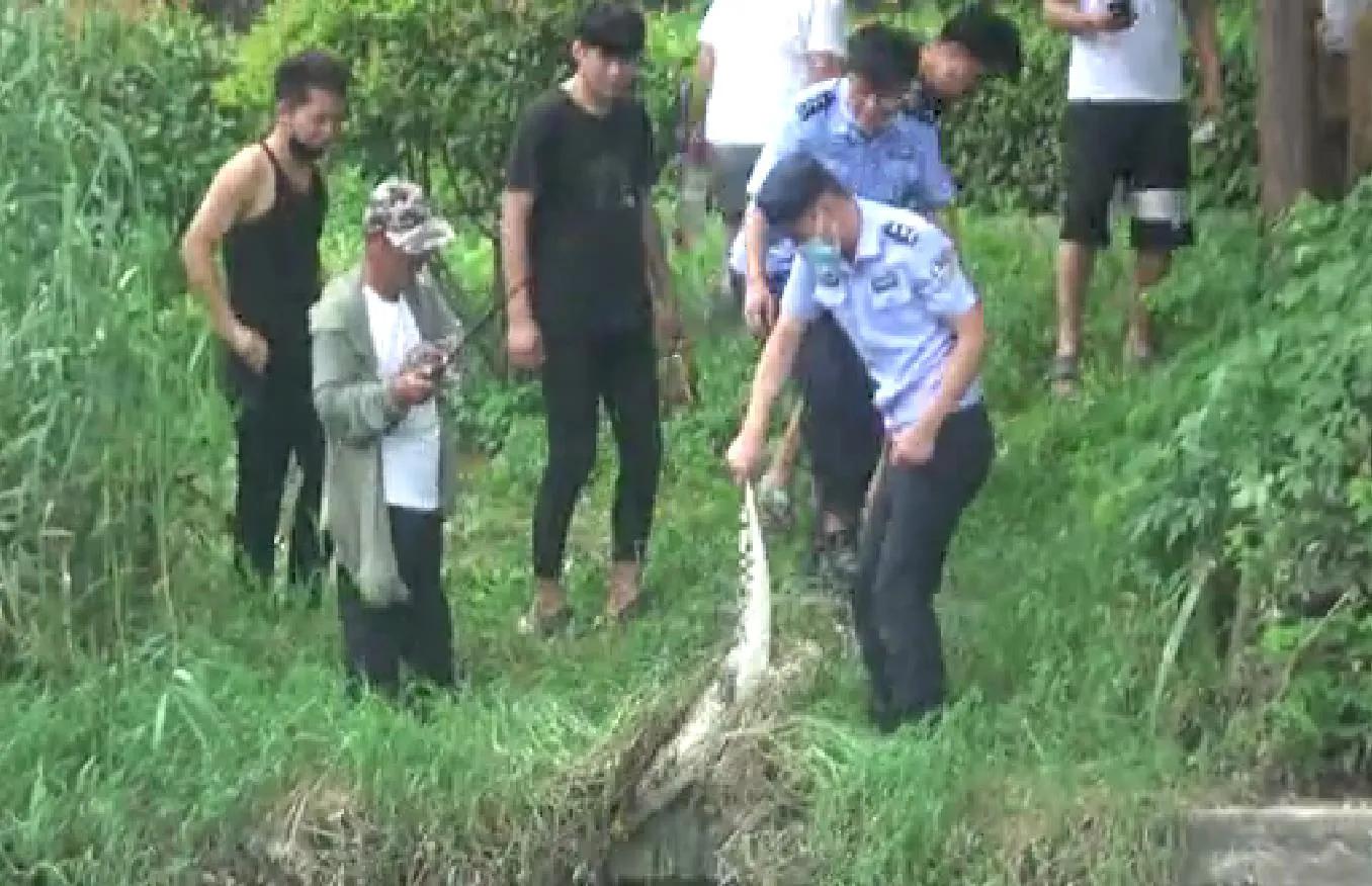 菏泽环城公园惊现鳄鱼，系从水产门市偷跑，已归还失主