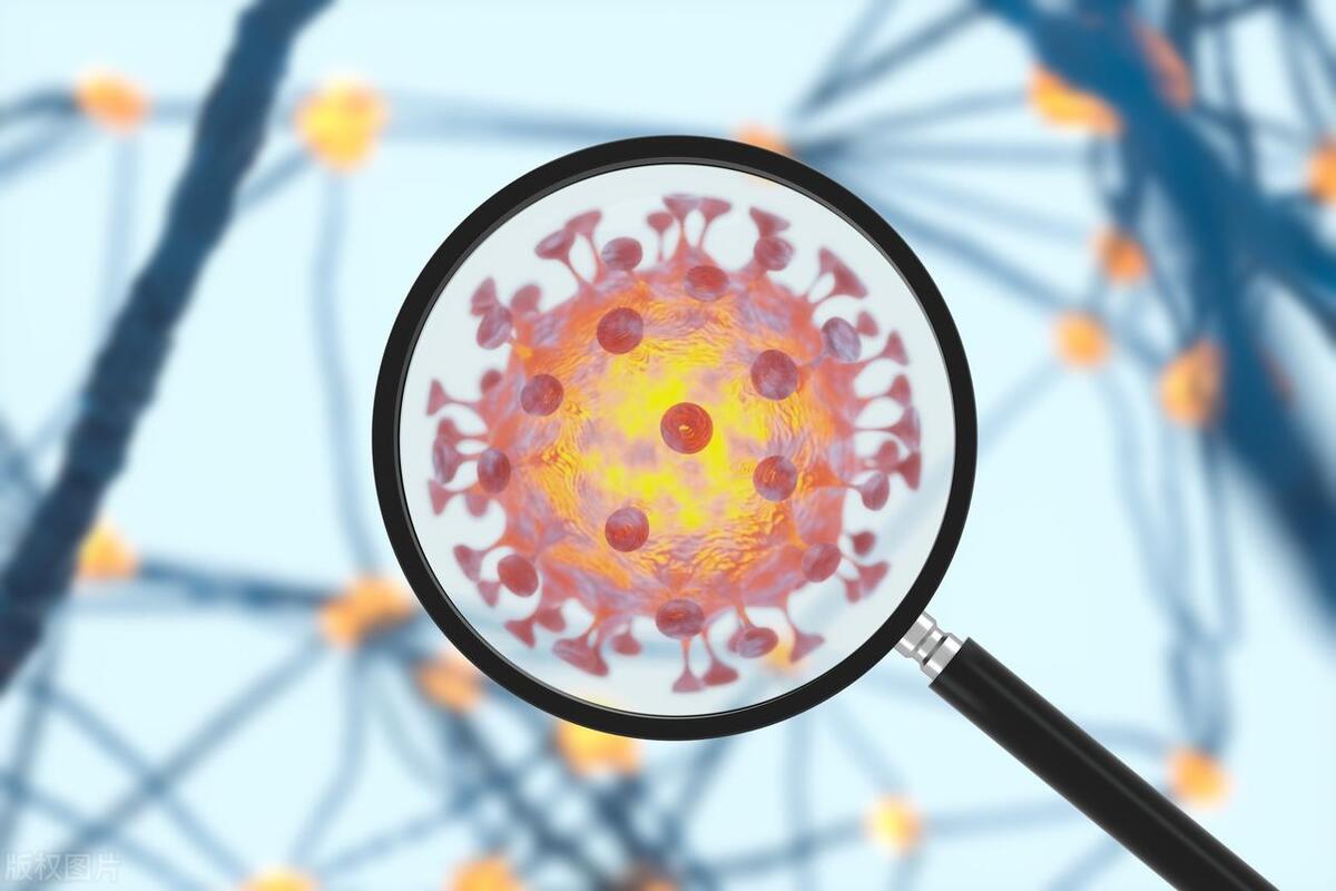 抗菌丝刷毛,抗菌刷