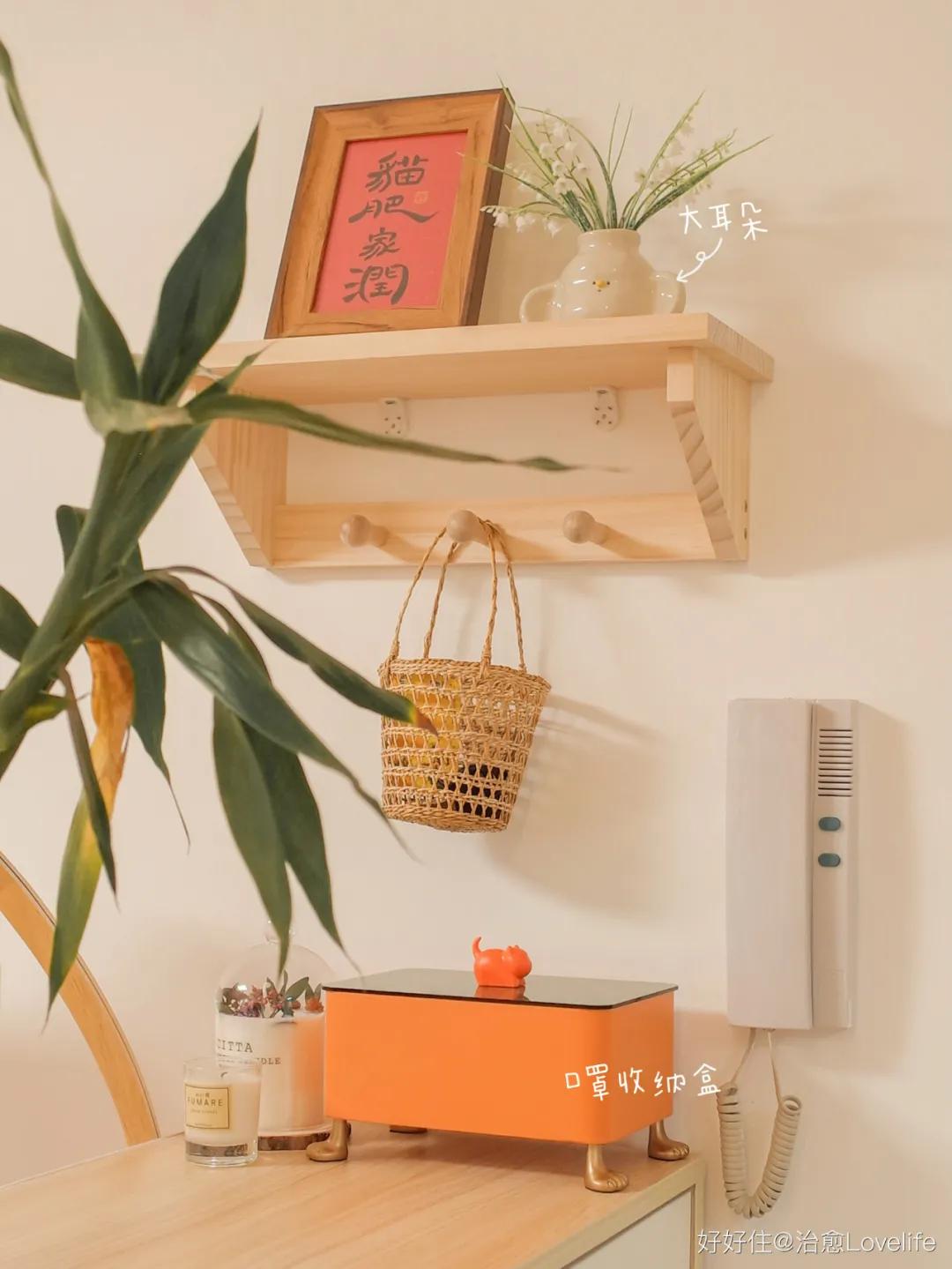 她家简直是个种草机，原木空间进来就出不去