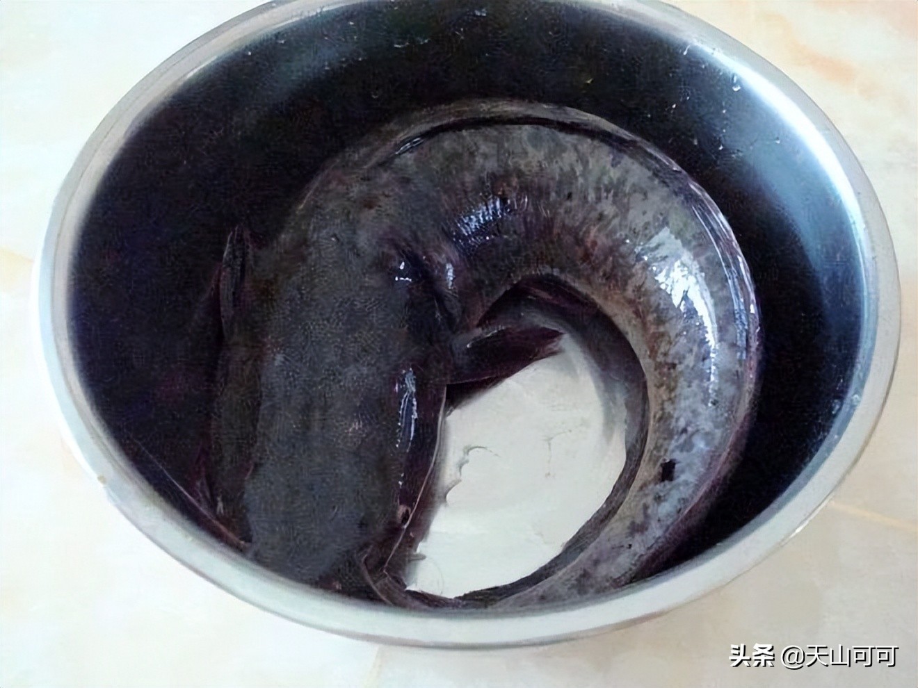 伏天什么淡水鱼好吃,三伏天鱼适合怎么烹饪