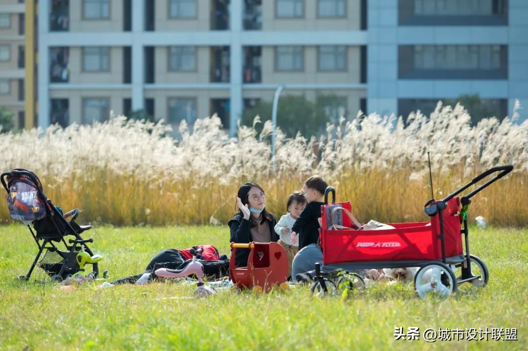 成都值得一游的公园,夏季成都宝藏公园