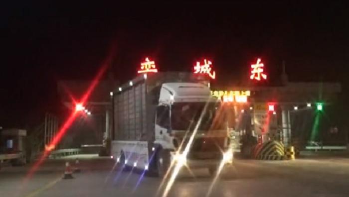 国际公棚鸽王赛奖杯,国际公棚赛