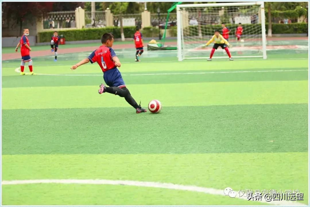 仪陇县新政小学足球联赛2023,仪陇县新政小学第九届足球比赛