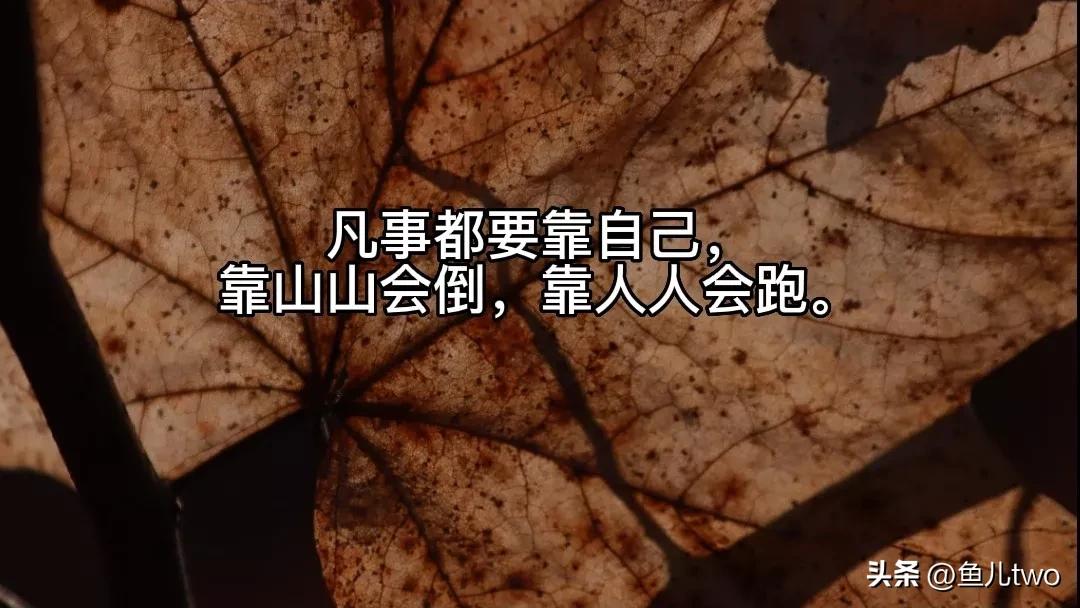 辅警四个条例两个准则心得,辅警年度考核个人总结