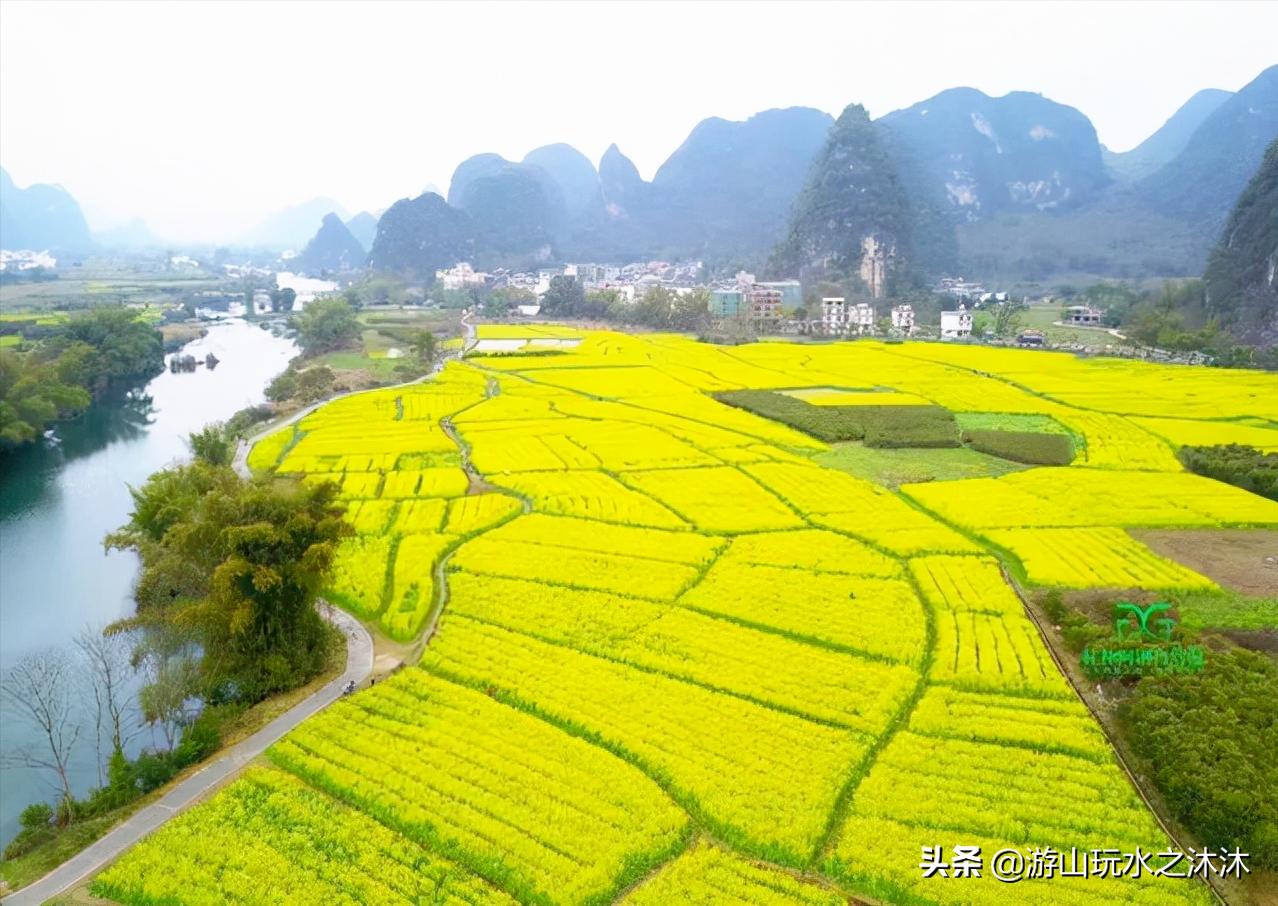 看油菜花的好地旅游攻略,看油菜花哪里最值得去
