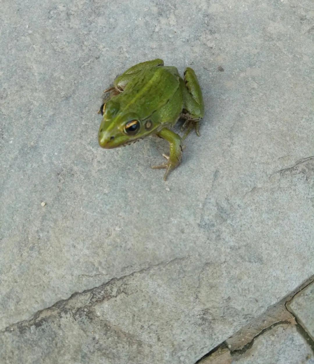 长春到大连自由行攻略图,长春到大连五日游报团