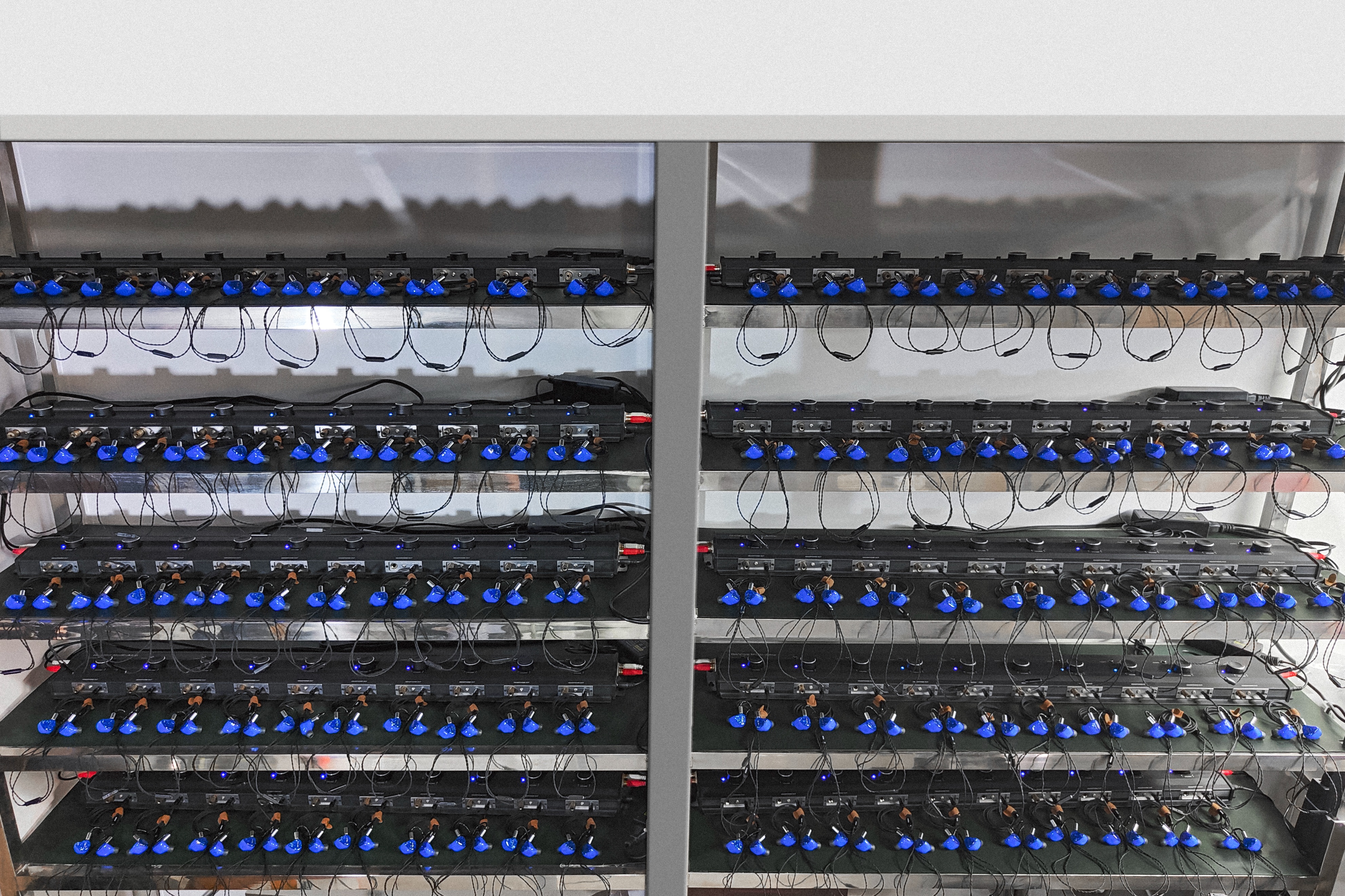 褐鹂和黑黄鹂耳机对比,褐鹂和黑鹂耳机对比