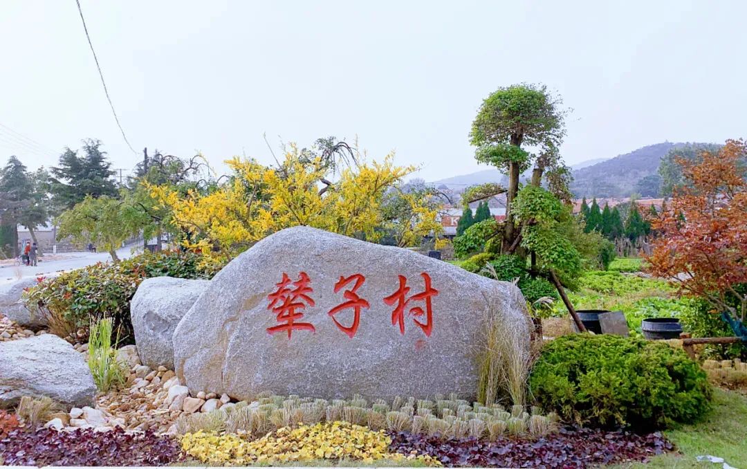 威海哪个村最美,威海十大美景乡村