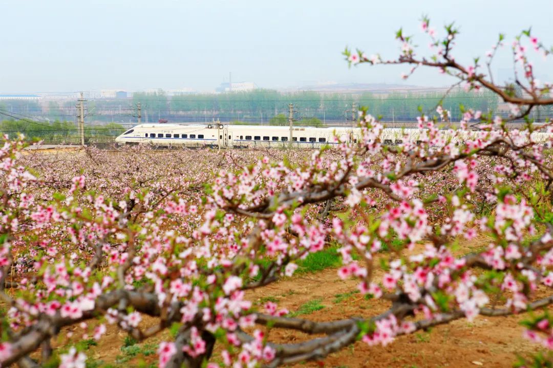 坐上火车领略东北田园,坐上高铁奔向远方