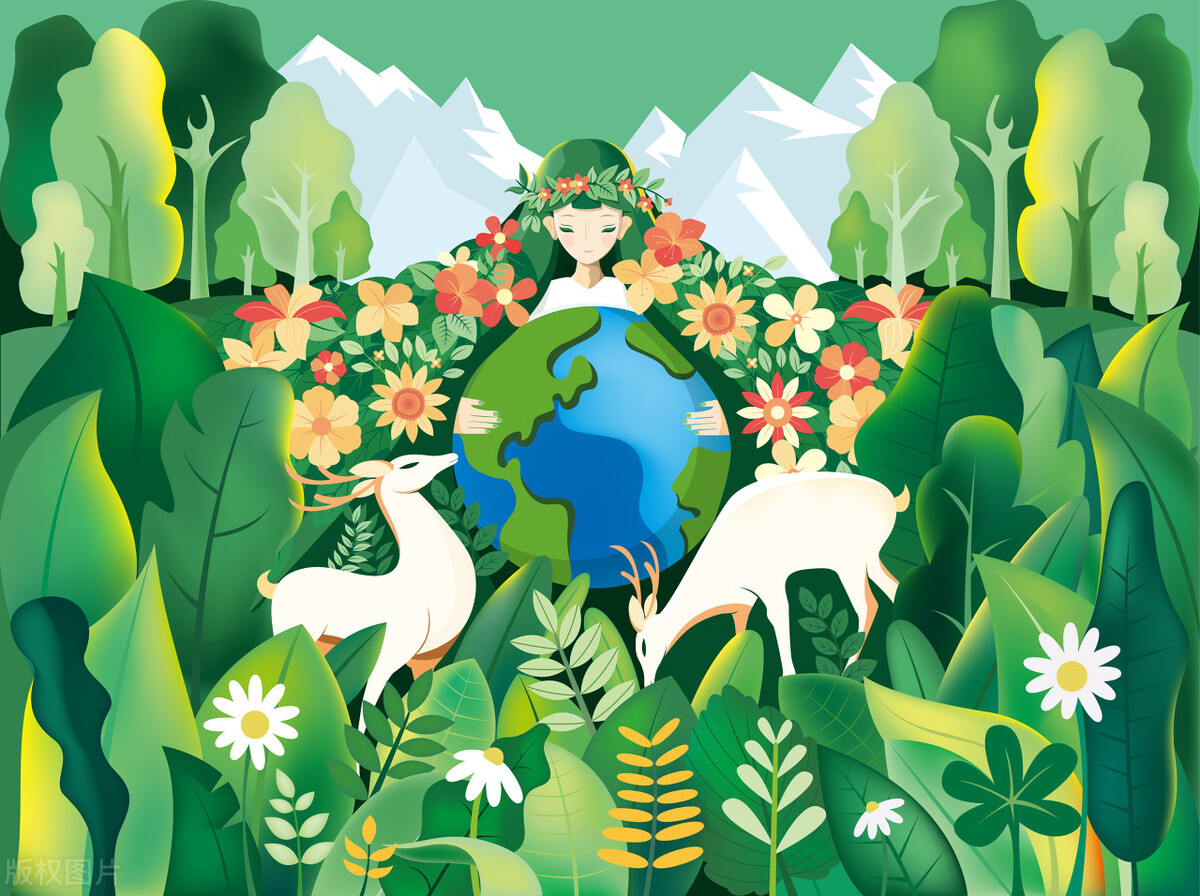 新西兰到底是什么样子的,你以为的新西兰vs现实中的新西兰