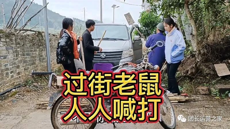 蹇洟鍥op100鍥㈤暱,蹇洟鍥op100