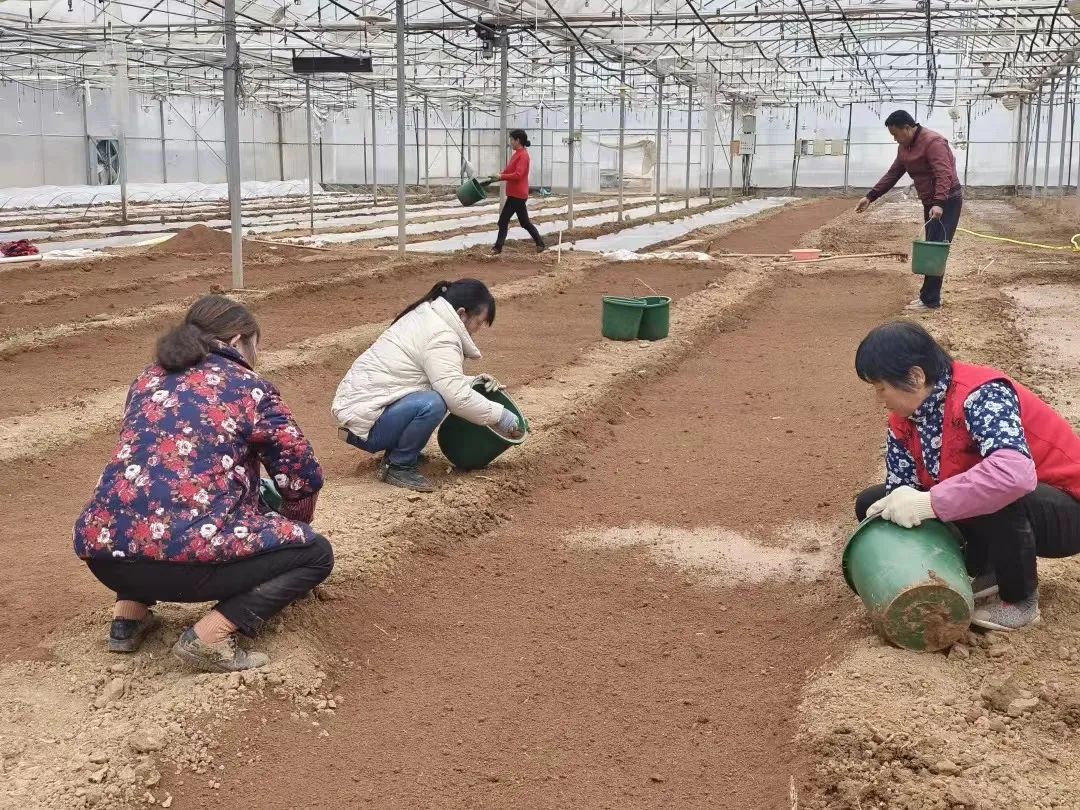 春夏农业生产,一季度各地全力抓好春季农业生产