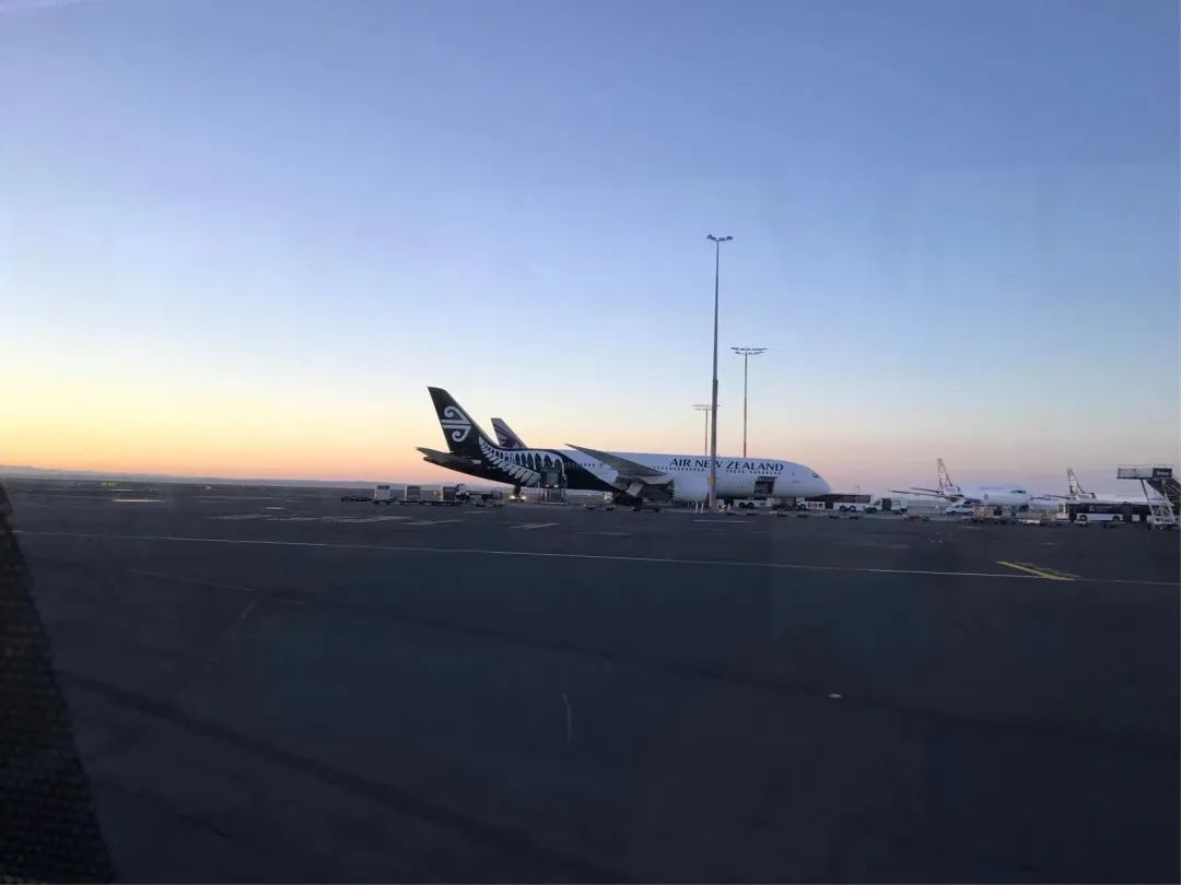 写给不被疫情束缚的心:用文字“云”游新西兰全境