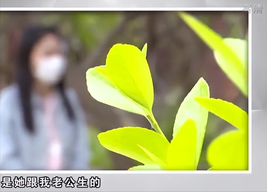 闺蜜借老公结婚后续,闺蜜借老公假结婚后续大结局