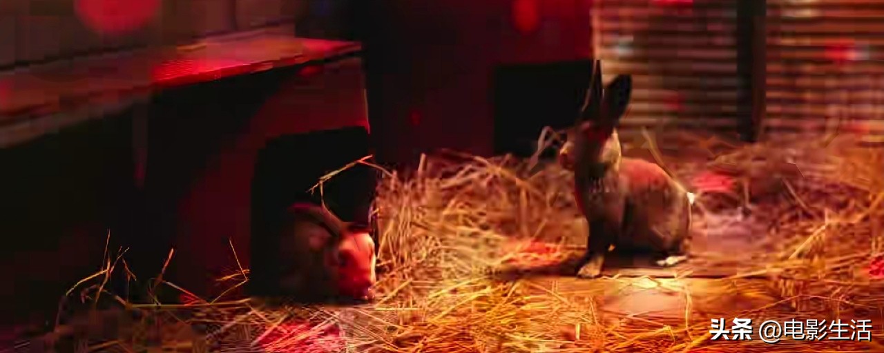 韩国爆笑喜剧票房冠军,韩国喜剧票房冠军