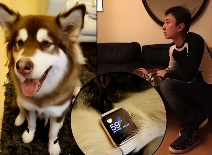 娱乐圈纪检委王思聪,娱乐圈王思聪新梗