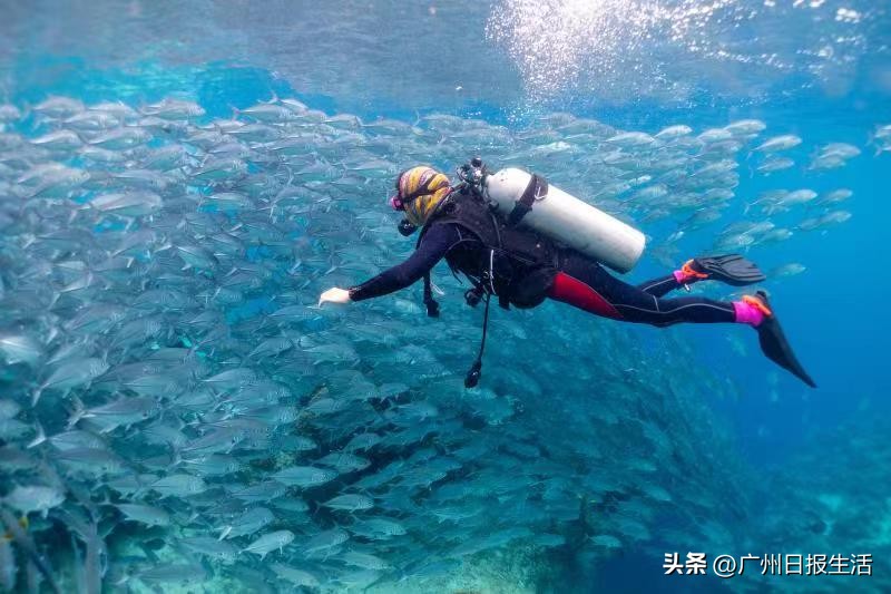 南方海岛游5大目的地推荐,海岛奇幻旅行