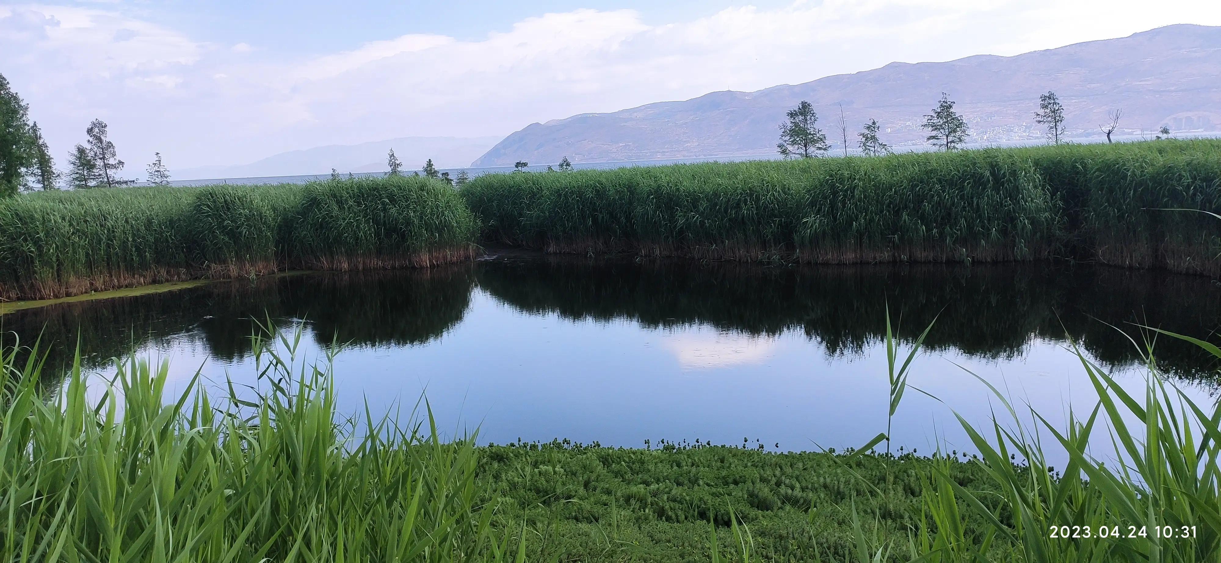 大理就是南诏吗,大理就是洱海吗