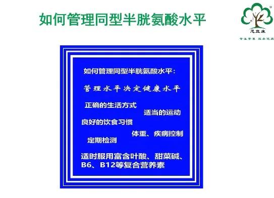 高同型半胱氨酸血症hcy正常值 (同型半胱氨酸hcy检测是什么)