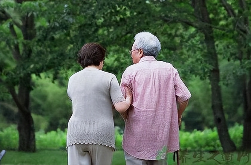 葵花药业创始人,葵花药业发家史