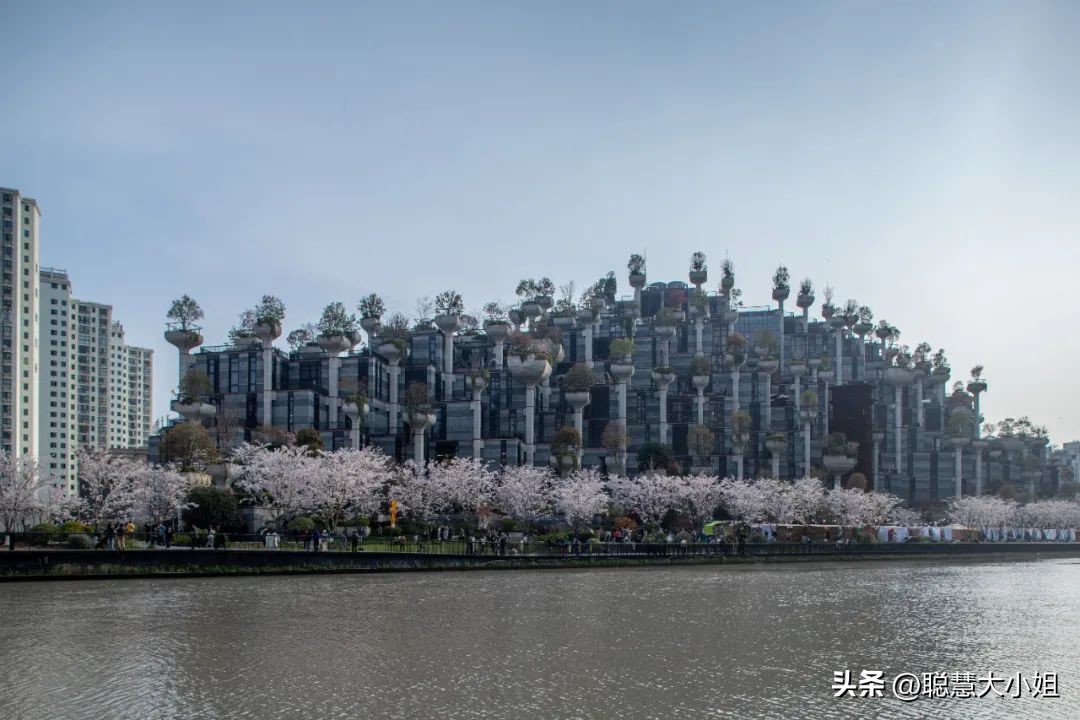 上海人少小众的游玩路线,上海小资体验攻略