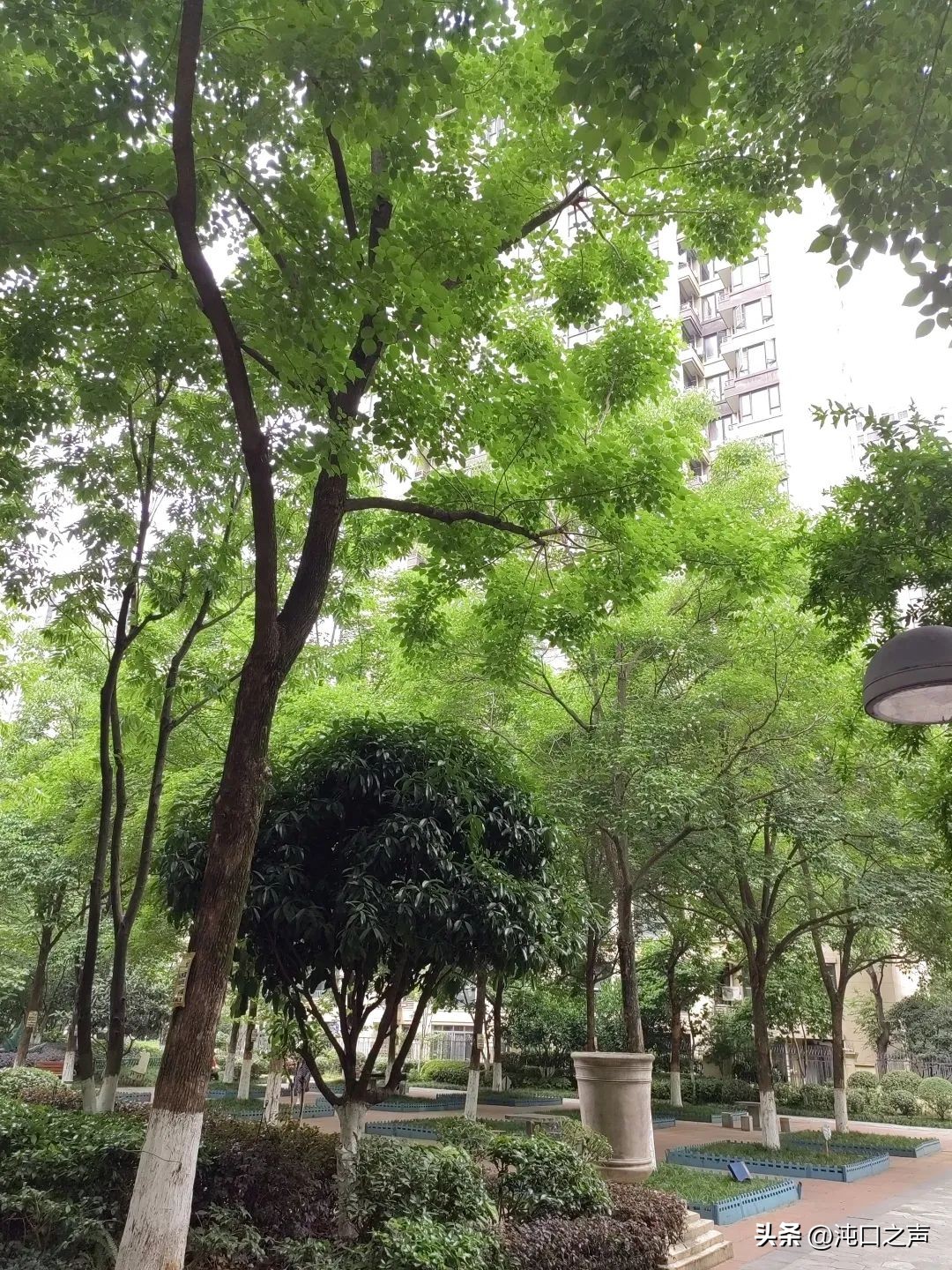 58同城武汉沌口二手房,沌口开发区二手房房价