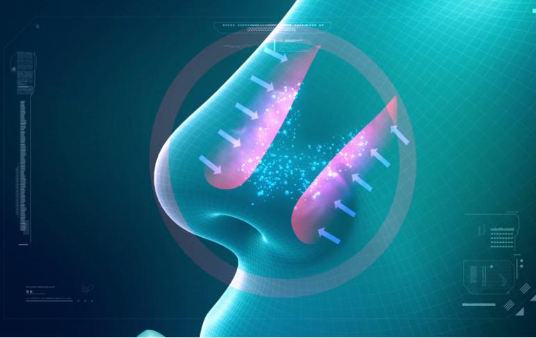 过敏性疾病的认识,过敏性鼻炎的流行病学