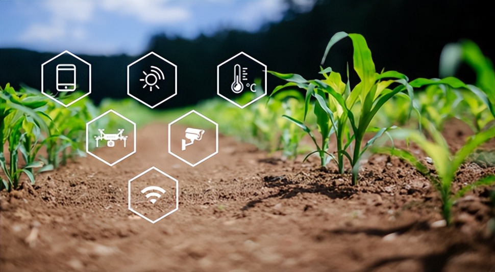 农业产业周报｜拼多多、诺普信、三全食品、极飞、富邦最新动态