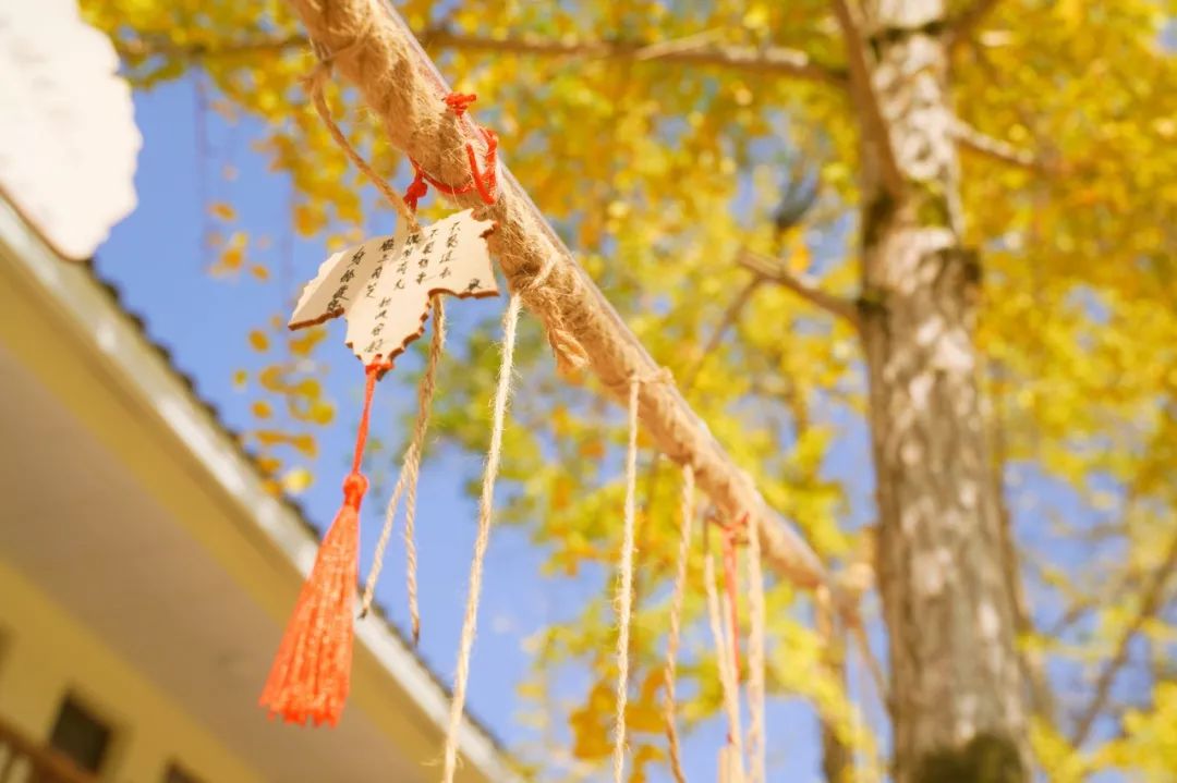 60岁之前必去的34省区最美天堂,最真实最美的旅游地方