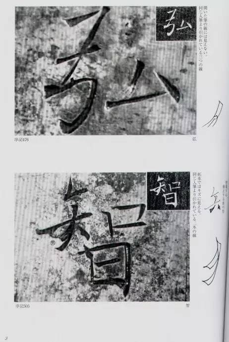 宸ョ瑪鐢绘潹鏅箟鐢诲唽,鏉滈箖鏉ㄦ櫘涔夊畬鏁寸増