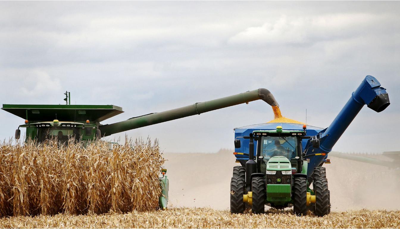 中国又进口美国大豆了吗,中国最新进口美国大豆等消息